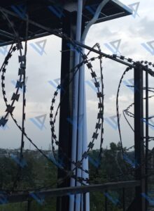 Untitled design - 21 Untitled design - 21