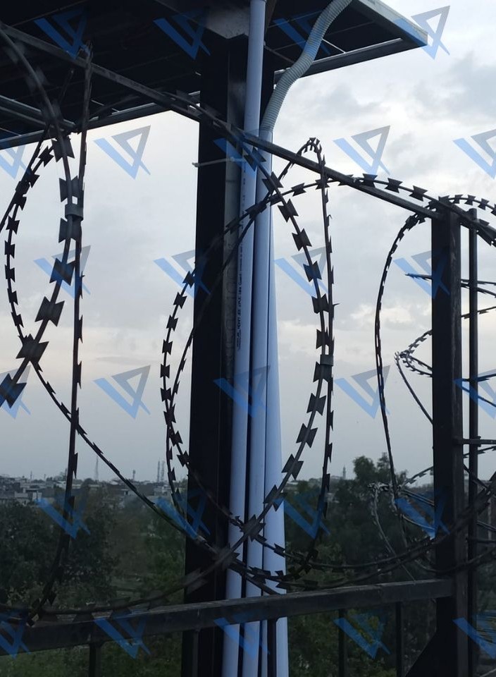 Untitled design - 21 Untitled design - 21